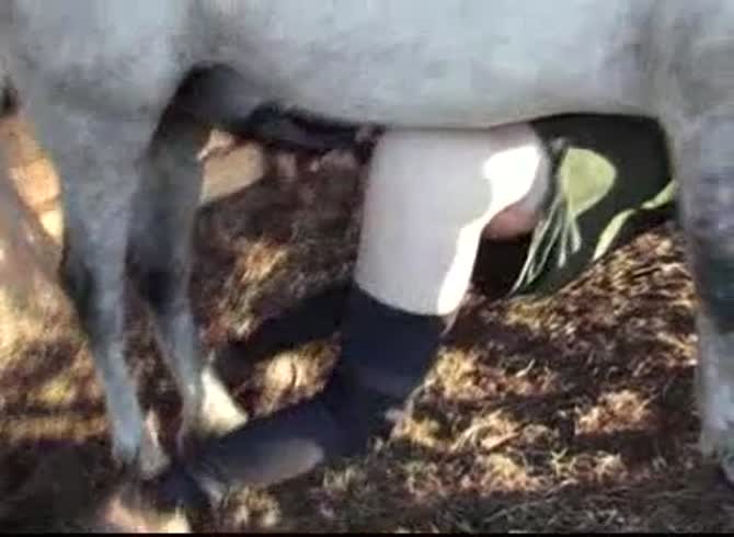Hot farm girl gets fucked in the ass in the horse porn video - Zoo Porn Horse Sex, Zoophilia   